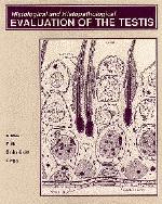 Evaluation of the Testis cover